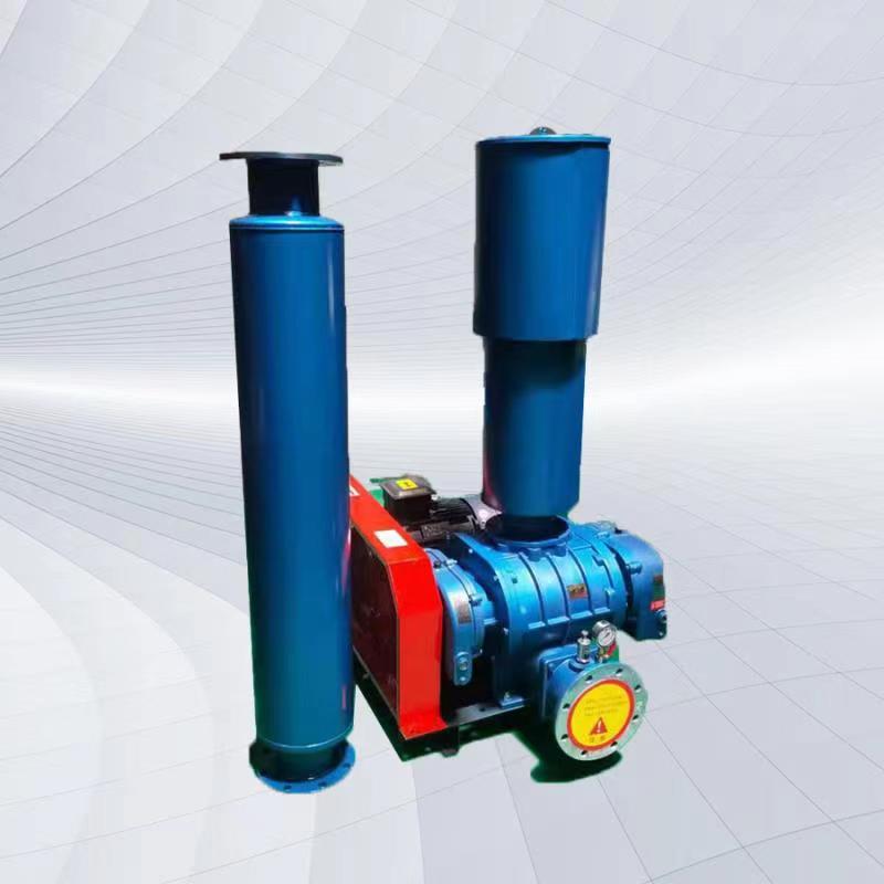 羅茨鼓風(fēng)機